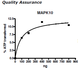 MAPK10 (JNK3), active human recombinant protein, GST-tag