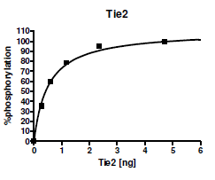 Tie2, active human recombinant protein, GST-tag
