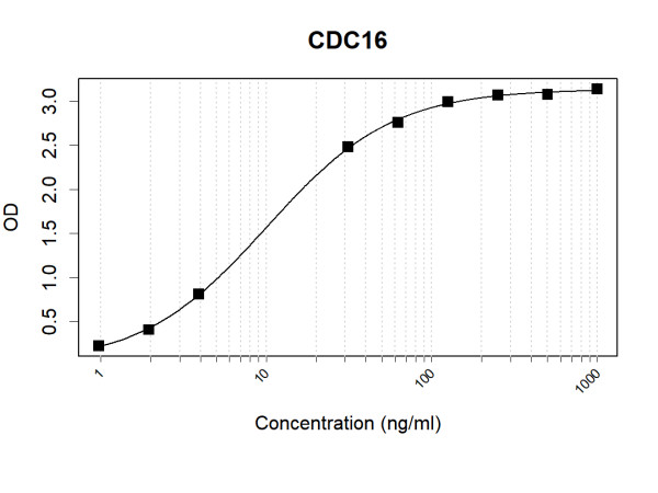 Anti-Human APC6 Antibody Pair