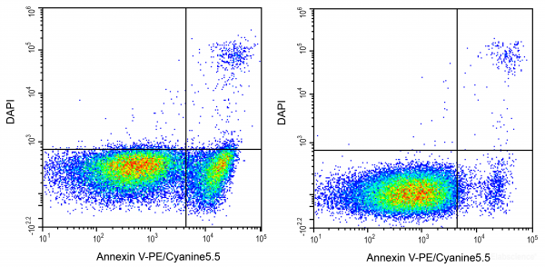 Annexin V-PE/Cyanine5.5 / DAPI Apoptosis Detection Kit