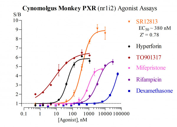 PXR (Cynomolgus Monkey) Reporter Assay System