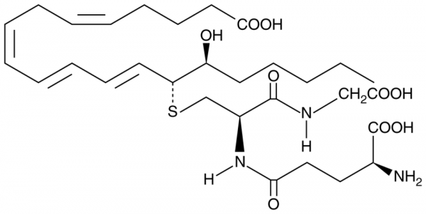 14,15-Leukotriene C4