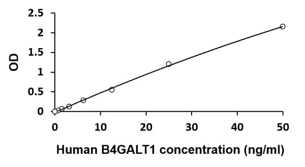 Human B4GALT1 ELISA Kit