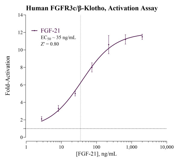 FGFR3c/beta-Klotho Reporter Assay System (human)