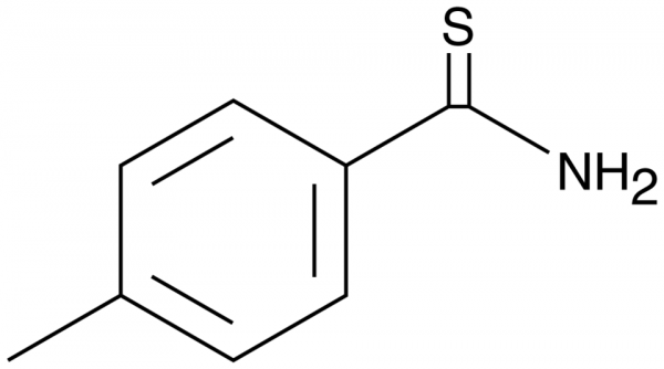 thio-p-Toluamide