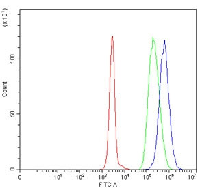 Anti-TIGD6 / Tigger transposable element-derived protein 6