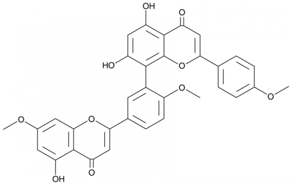 Sciadopitysin
