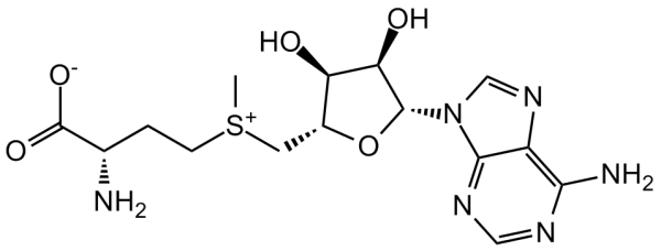 S-Adenosylmethionine