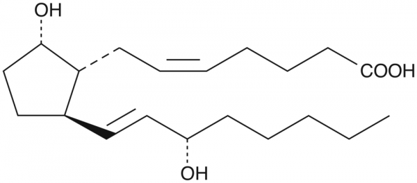 11-deoxy Prostaglandin F2alpha