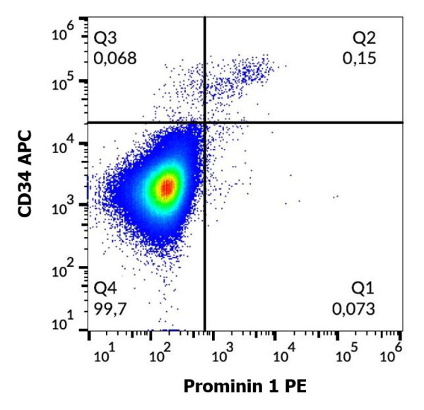 Anti-Prominin 1 (PE), clone W6B3C1