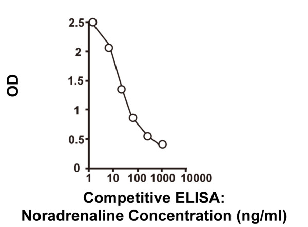 Human Noradrenaline ELISA Kit