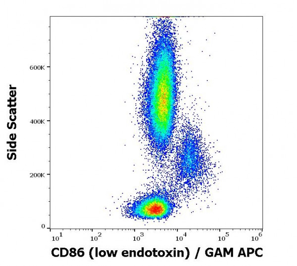 Anti-CD86 (low endotoxin), clone BU63