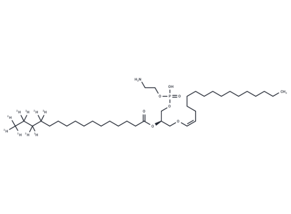 1-1(Z)-Hexadecenyl-2-Palmitoyl-d9-sn-glycero-3-PE