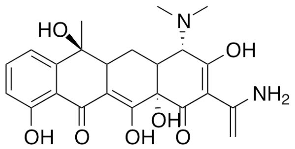 Tetracycline