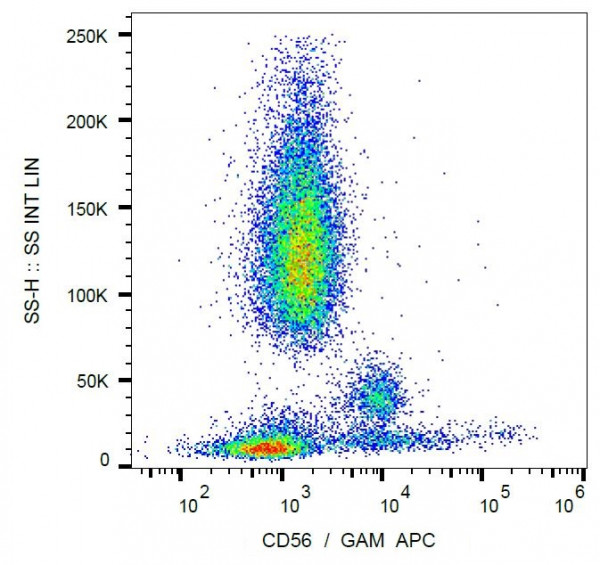 Anti-NCAM, clone MEM-188