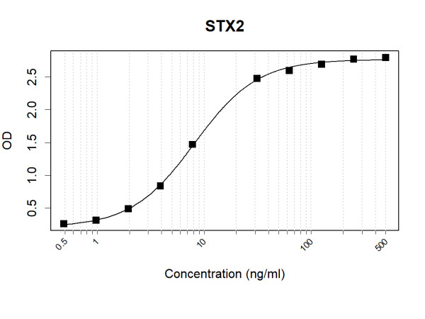 Anti-Human STX2 Antibody Pair