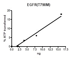 EGFR (T790M), active human recombinant protein