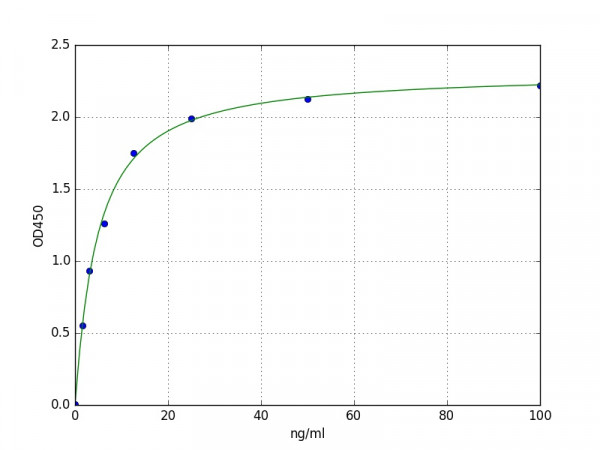 Human Versican ELISA Kit