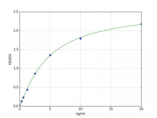 Human KAT8 / MYST1 / MOF ELISA Kit