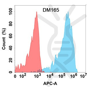 Anti-CLEC12A antibody(DM165), Rabbit mAb