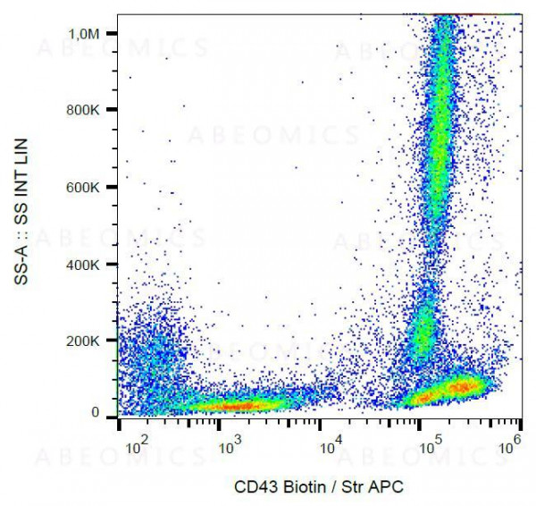 Anti-CD43 / Leukosialin Monoclonal Antibody (Clone:MEM-59)-Biotin Conjugated