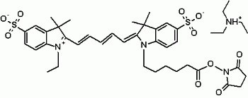 Cyanine 5 monosuccinimidyl ester [equivalent to Cy5(R) NHS ester]