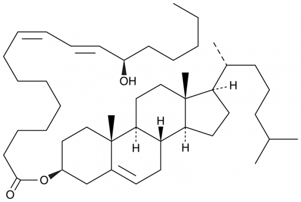 13(R)-HODE cholesteryl ester