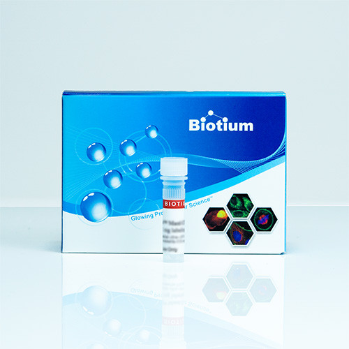 Anti-CD3e Mouse Monoclonal Antibody (SK7), R-PE Conjugate - Biotium Choice