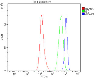 Anti-GIGYF1 / GRB10-interacting GYF protein 1