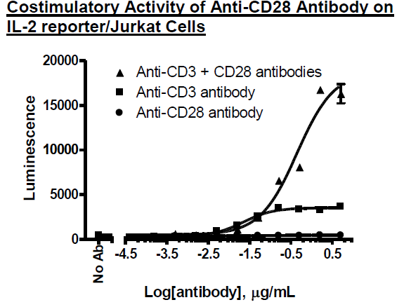 Anti-CD28 Agonist