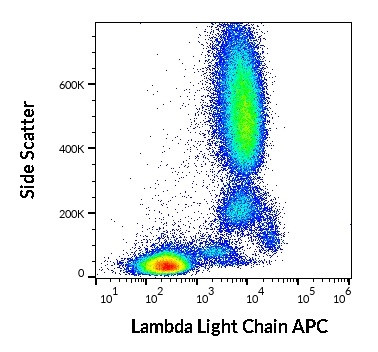 Anti-Lambda light chains, clone 4C2 (APC)