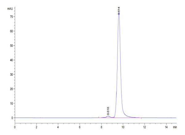 Mouse ANGPT2/Angiopoietin-2 Protein