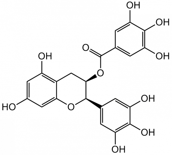 (-)-Epigallocatechin gallate