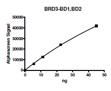 BRD3 (29-417), human recombinant protein, His-tag