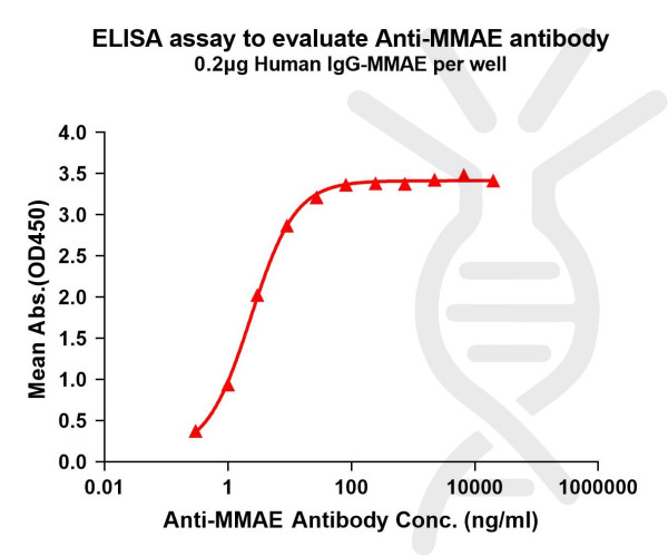 Anti-MMAE antibody(9C4), Rabbit mAb