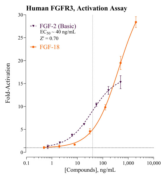 FGFR3 Reporter Assay System (human)