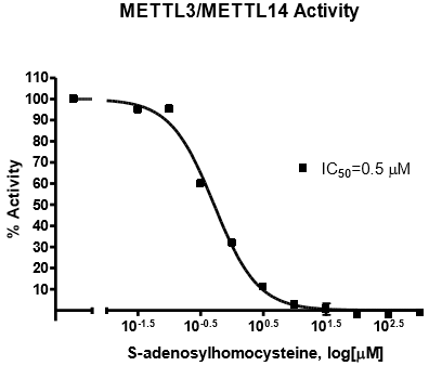 METTL3 Chemiluminescent Assay Kit