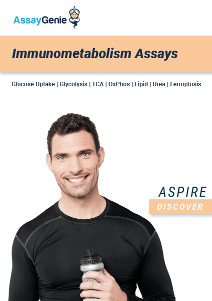 Immunometabolism Assays