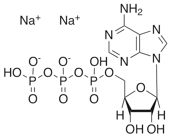 Adenosine Triphosphate Disodium