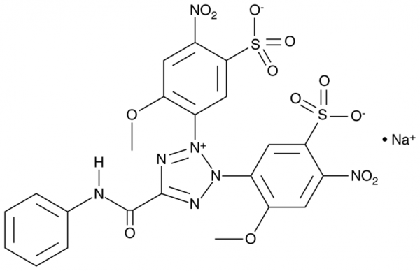 XTT (sodium salt hydrate)