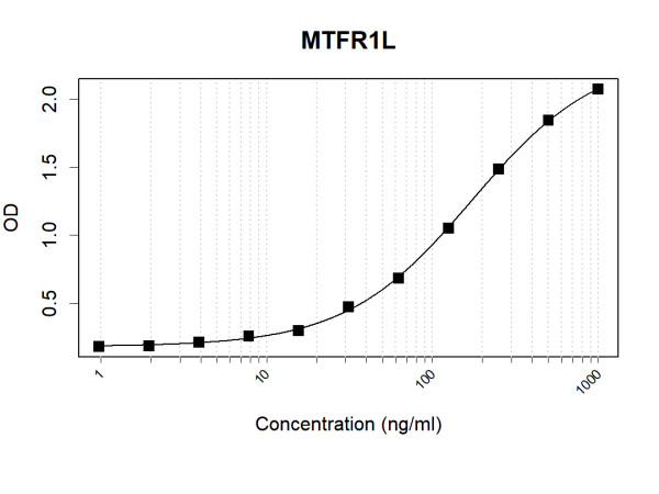 Anti-Human MTFR1L Antibody Pair