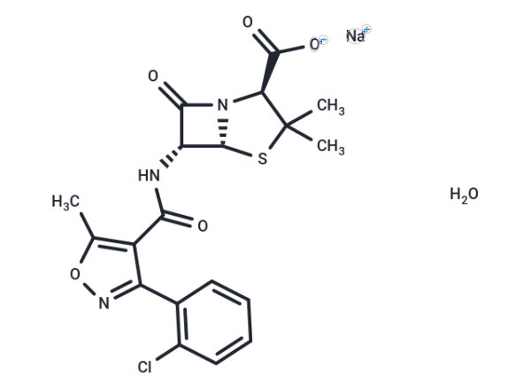 Cloxacillin sodium monohydrate