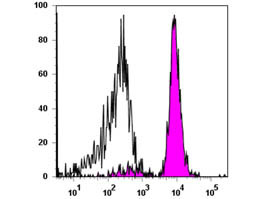 Anti-CD86 Allophycocyanin Conjugated, clone IT2.2