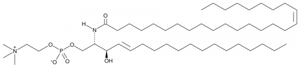 C26:1 Sphingomyelin (d18:1/26:1(17Z))