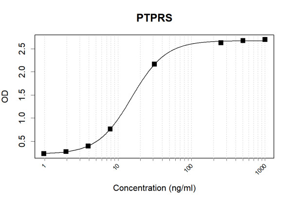 Anti-Human PTPRS Antibody Pair