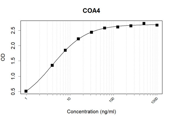 Anti-Human COA4 Antibody Pair