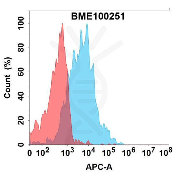 Anti-IL1RL2 (imsidolimab biosimilar) mAb