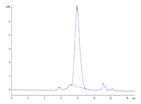 DcR1/TRAILR3, His, Human