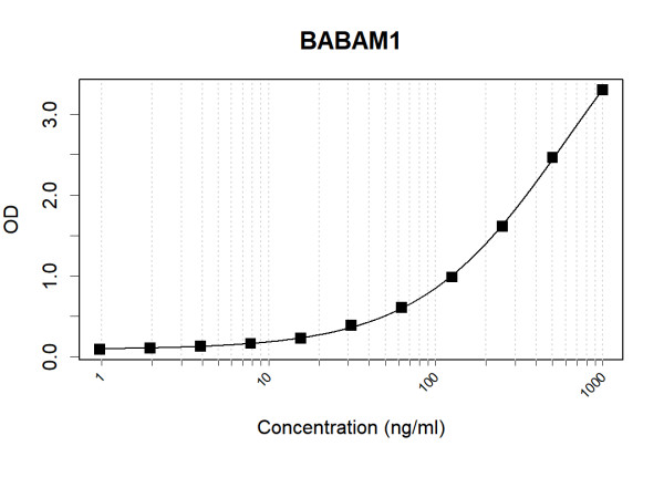 Anti-Human BABAM1 Antibody Pair