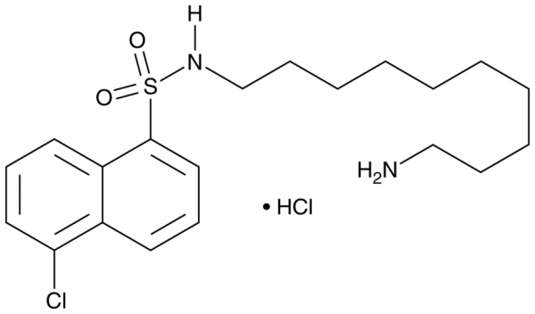 A-7 (hydrochloride)